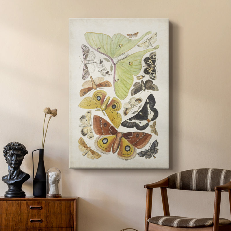 Mites antiques I - galerie Cavas sur mesure, H 12 po x l 8 po