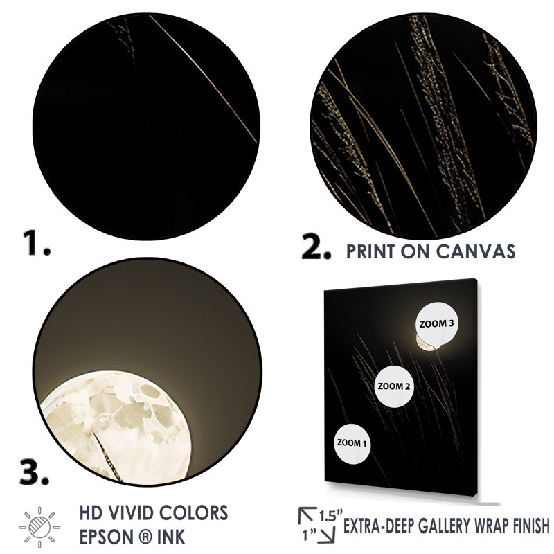 Ivoire, isolement au clair de lune I, Cadre doré simple, H 32 po x l 24 po x P 1 po