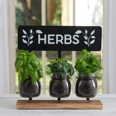 11.8"W Harper Herb Garden