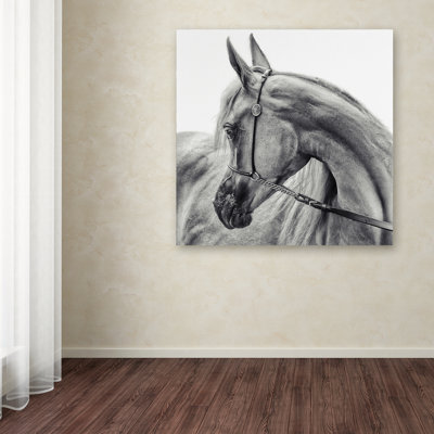 « the arabique cheval », reproduction d’impression sur toile tendue