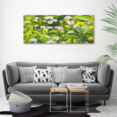 Daisies - Wrapped Canvas Print