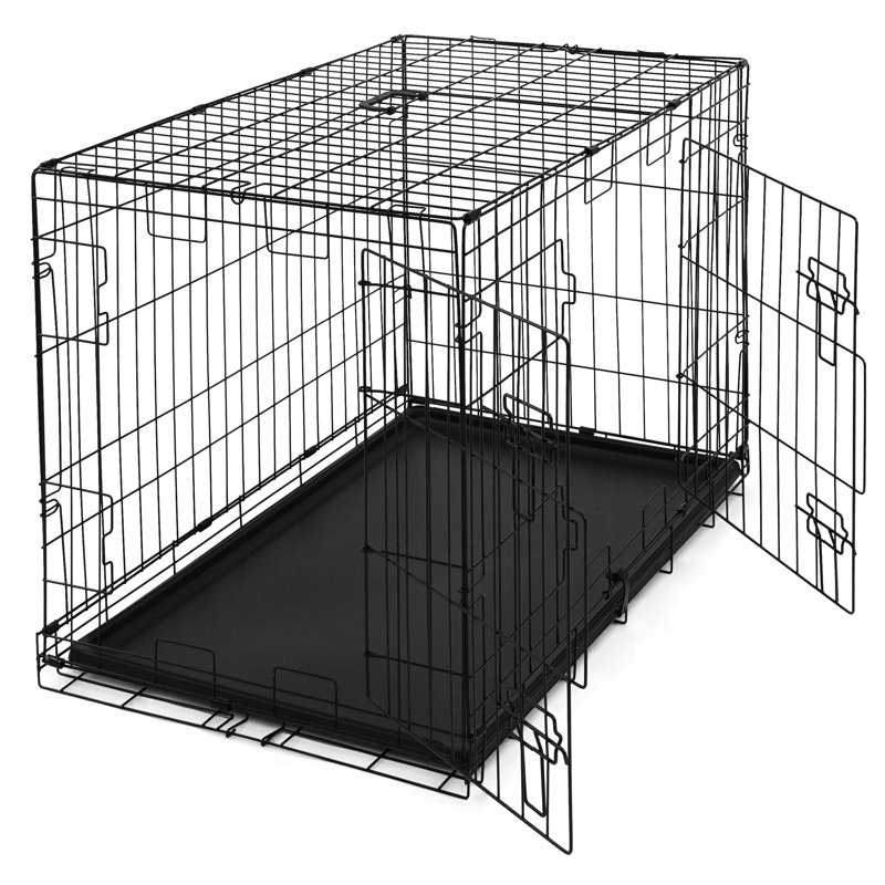 Cage pour chien CAPHAUS Tucker Murphy Pet ™, chenil métallique pour chien avec plateau étanche