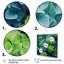 Vert, bleu, hortensia, fleurs d'émeraude - art mural encadré hortensia-1781012674-1775048174