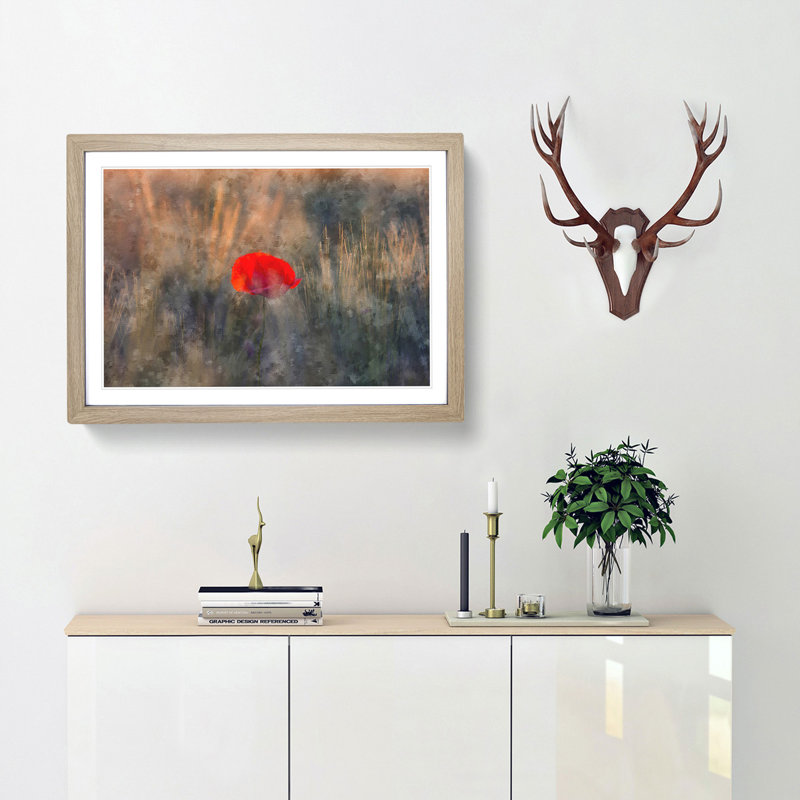 Red Poppy Flower - Framed Print, Oak Framed, 62cm H x 87cm W x 2cm D