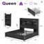 Cadre de lit Coey Queen Size avec 4 tiroirs de rangement, noir-1503422356-1503422361
