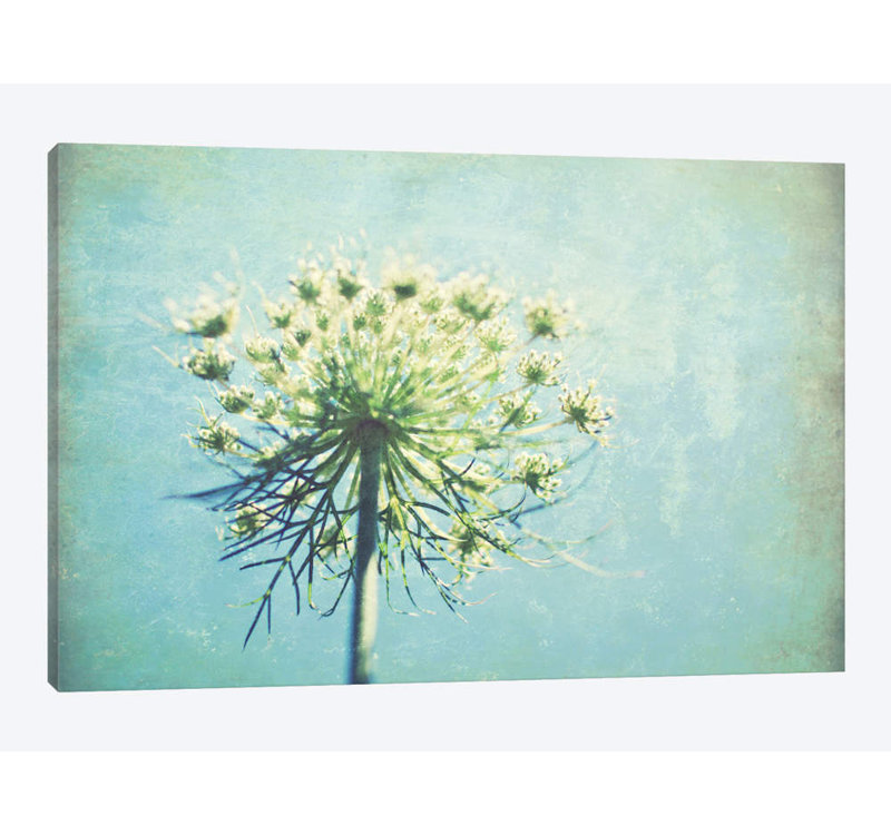 Lupen Grainne - Wrapped Canvas Print, 66.04 cm H x 45.72 cm W x 1.91 cm D