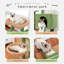 Colleyville 104cm H Cat Tree