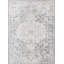 Traditional Rug, Floral Stain Resistant Easy to Clean Rug For Living Room, Dining Room, Bedroom-482338872