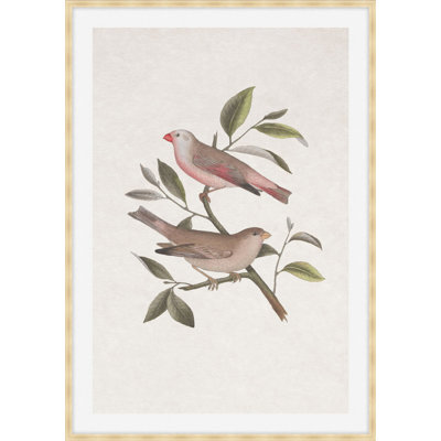 Nesting Navigators Ivory 6 Print
