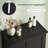 Bathroom Cabinet-1925137258