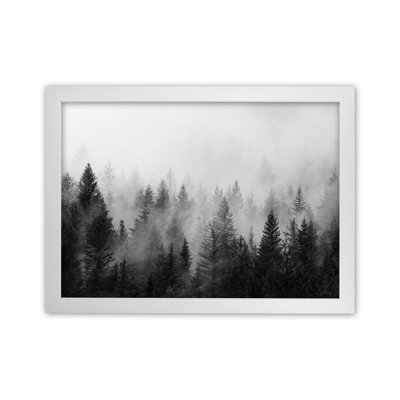 Forest - Print