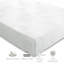 Sareer Latex Foam Mattress-13739172
