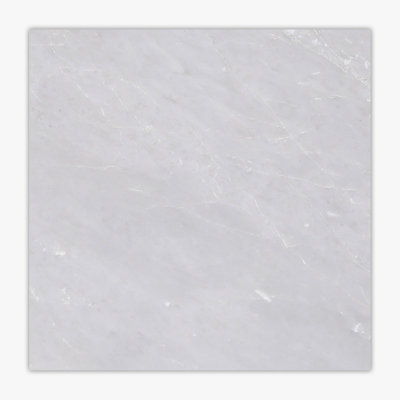 12 in. x 12 in. Marble Tile