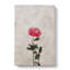 Climbing Pink Rose - Wrapped Canvas-56634970