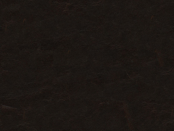 Leather Chair, Bark (KL232-80), Umber