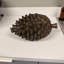 Sculpture Maloney
