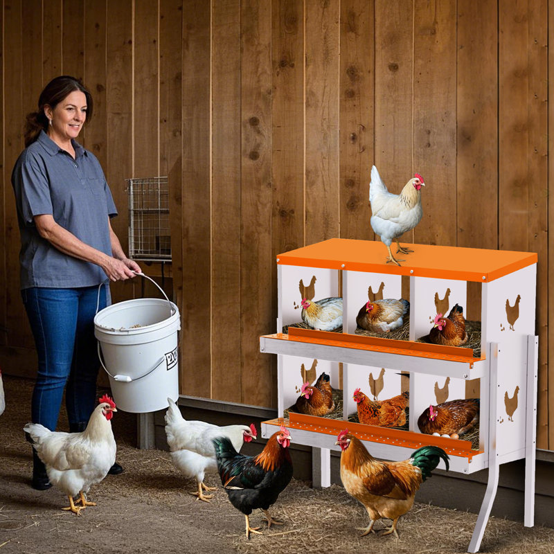 Boîte de nidification en métal pour poules pondeuses, H 35,24 po x l 32,09 po x P 16,93 po, Orange