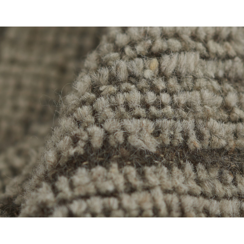 Bristol Oriental Area Rug in Gray/Brown, Rectangle 8' x 10'