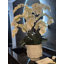 Matte Visage Vase With White Orchids