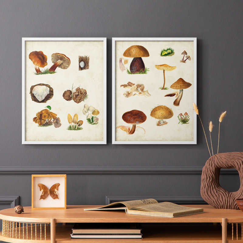 Reproduction encadrée de champignon I-Premium - prêt à être accroché - aucun clou requis - aucun clou requis, Blanc