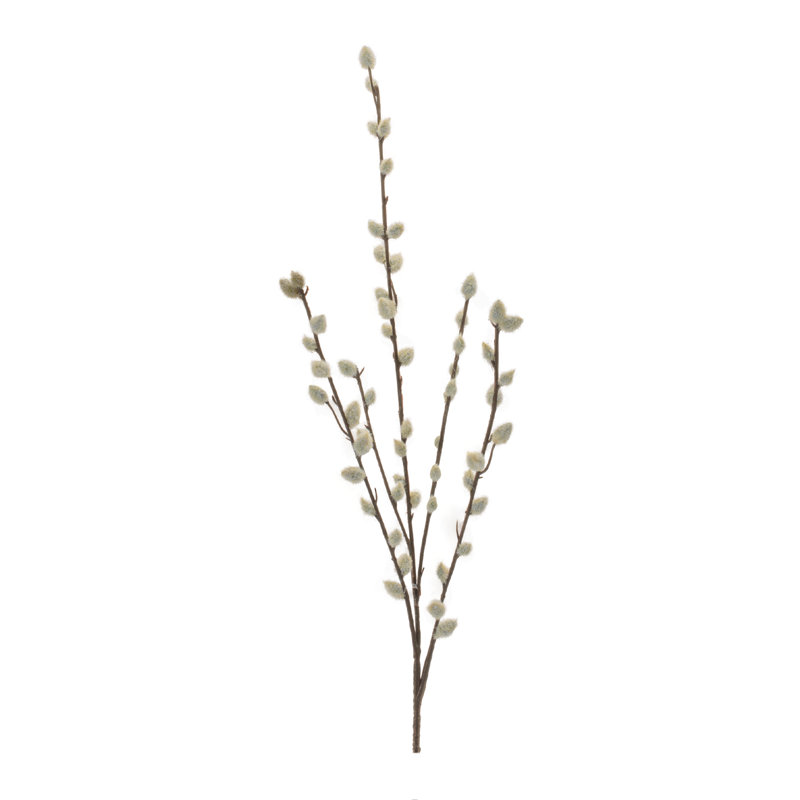 Pussy Willow Twig Spray