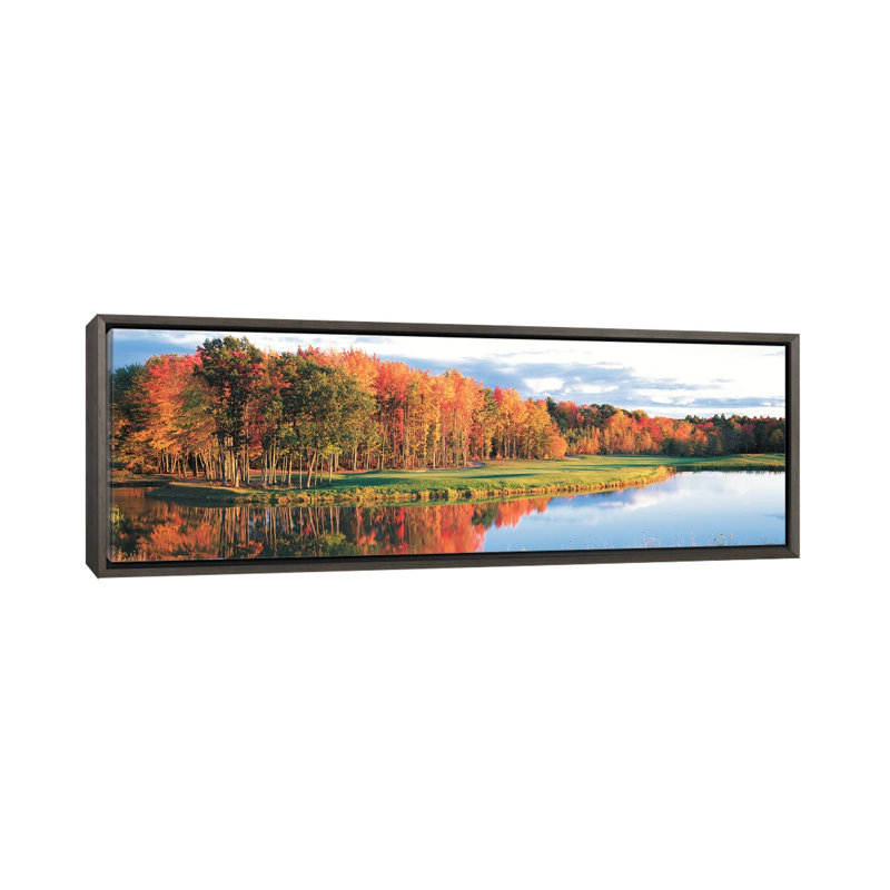 «Fall Golf Course, New England, USA», reproduction d'art mural encadrée, H 12 po x l 36 po, Gris