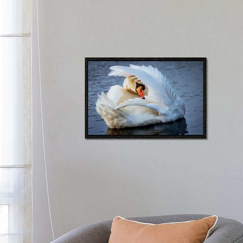 B&W Belgian by David Gardiner - Gallery-Wrapped Canvas Giclée on Canvas, Black Framed, 66.04 cm H x 45.72 cm W