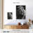 Brampt Monochromatic Lion-108245038
