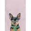 «Formal Puppy», reproduction sur toile tendue-68742260
