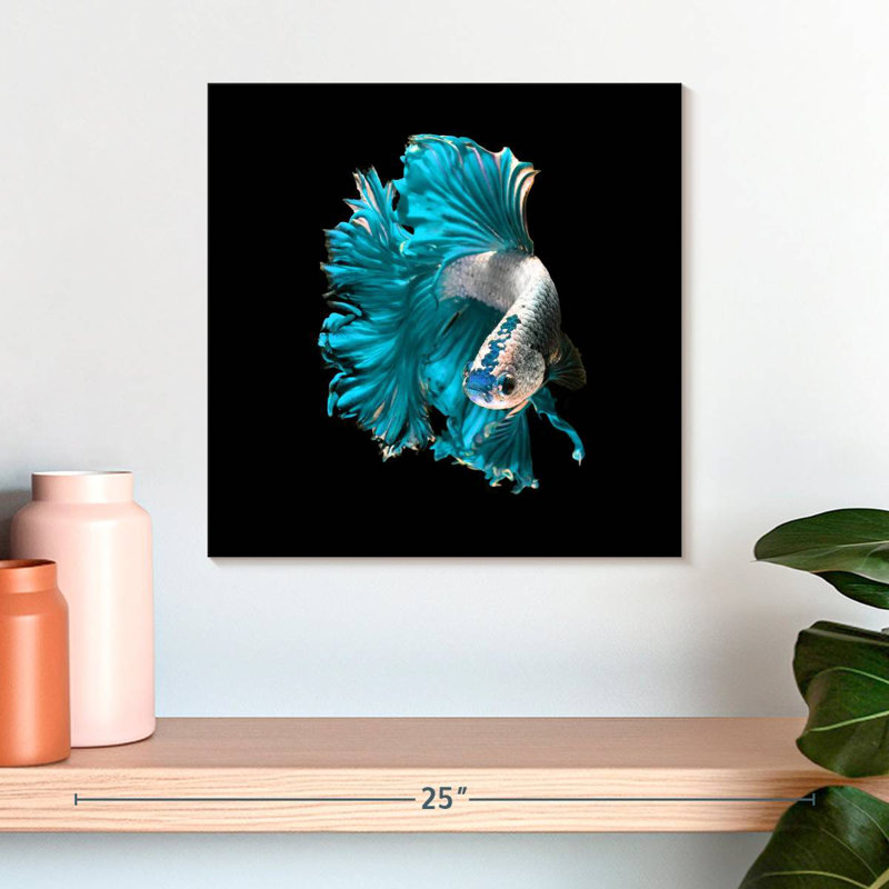 Brampt Plush Fighter Fish, 16" H x 16" W