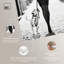 «City Dalmatian» par Art Remedy-113442544-113442537-113442543
