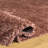 Atlantis Shag 100 Performance Solid Color Rug-1860264110