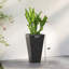 Ensemble de 3 pots à fleurs empilables, grands pots à fleurs-153955614