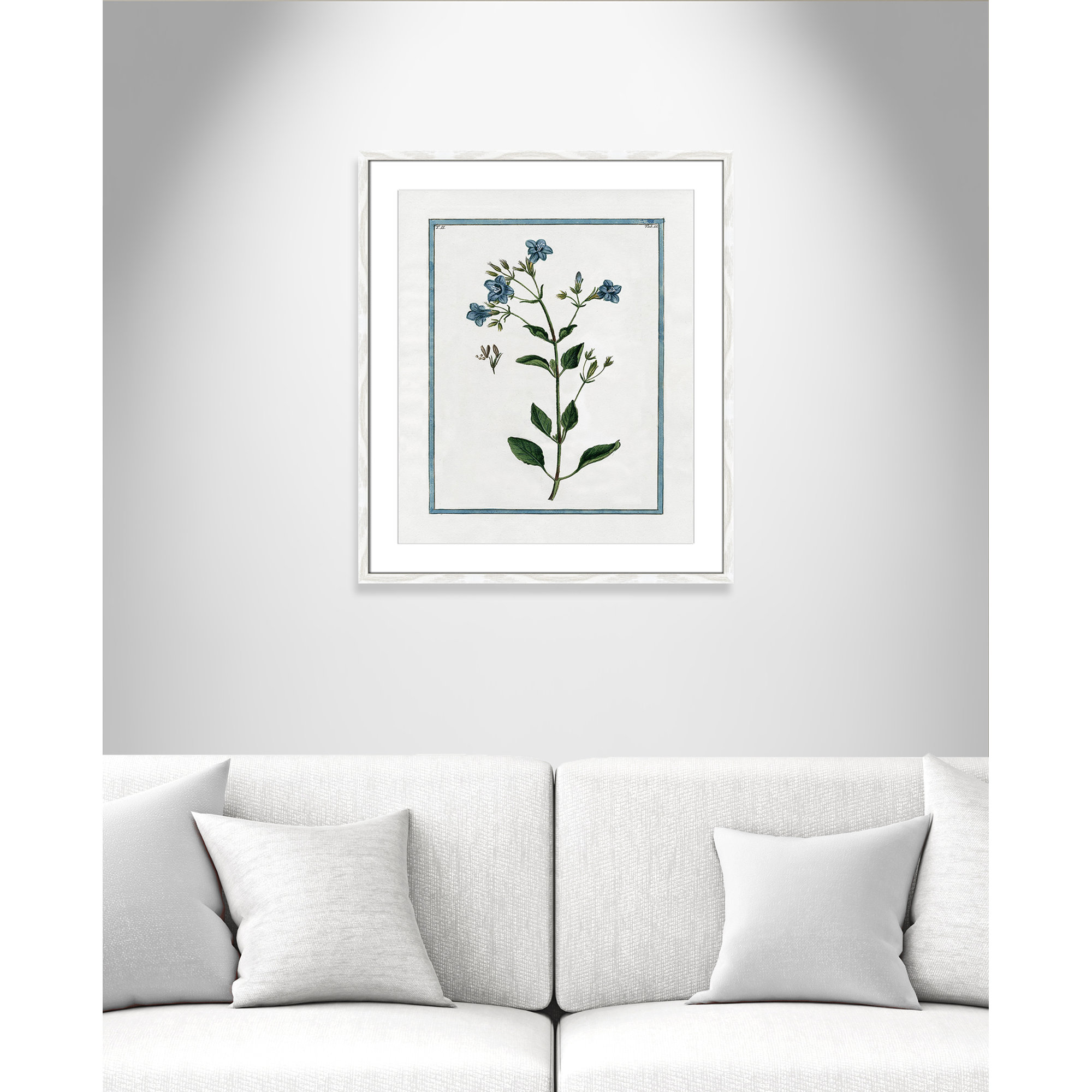 Shabby Elegance Botanical II - Framed Art, White Framed, 21.5" W x 25.5" H