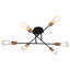 Oriole Spotlight-790386017-790386022