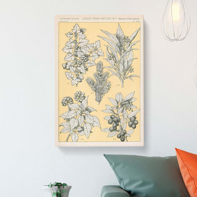 Leaves From Nature No. 7 by Owen Jones - Wrapped Canvas Print