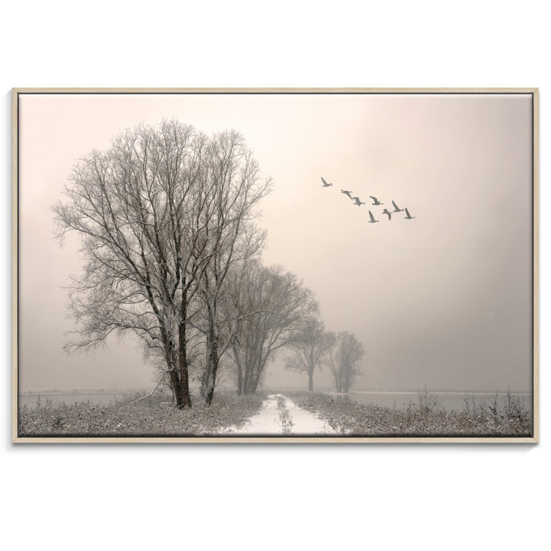 Print on Canvas, 51cm H x 76cm W, Timber Floater Frame