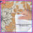 Orange Beige Floral Comforter-128003392