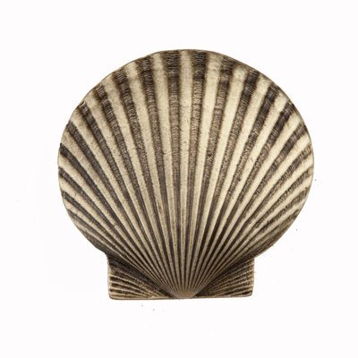 Large Scallop Cabinet Knob