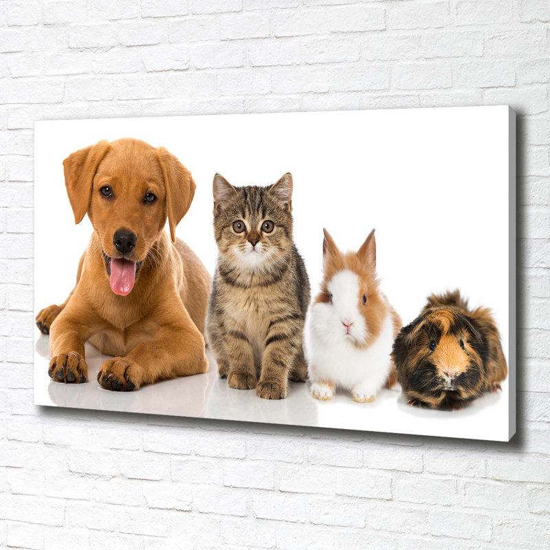 Dog And Cat - Wrapped Canvas Print