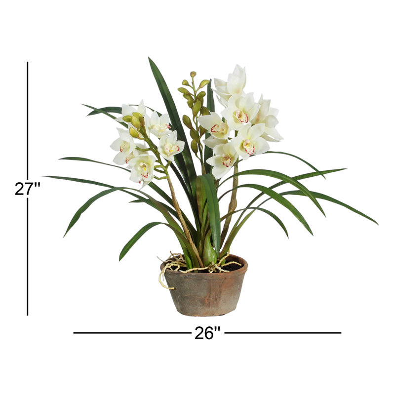 Arrangement floral cymbidium orchidées en pot, Blanc
