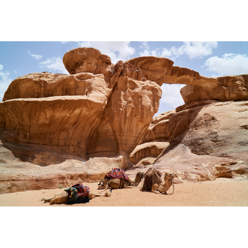 Camels Decorated by Prystai - Wrapped Canvas Print, 20cm H x 30cm W
