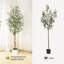 Olive artificielle en pot blanc - plante de plancher de 7 pi de hauteur avec 2 troncs en bois naturel pour le salon, la maison ou le bureau