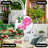 Pink gradient artificial rose
