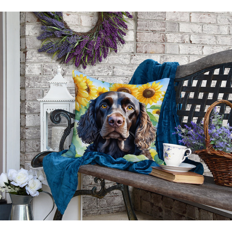 Other/No Pattern Outdoor Throw Pillow, 18" H x 18" W