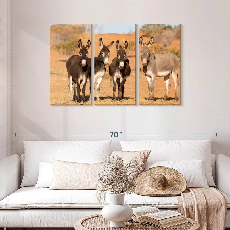 Ânes de Brampt dans l’Outback australien, H 28 po x l 45 po