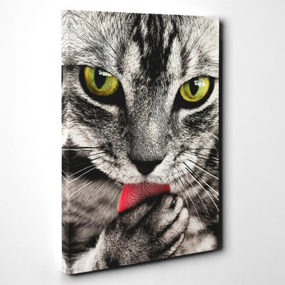 Wrapped Canvas Print