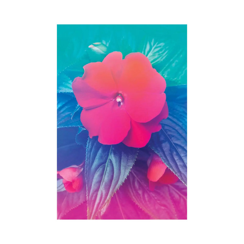 Exotic Flowers Hologram by Beli - Wrapped Canvas Painting, 20.32 cm H x 30.48 cm W