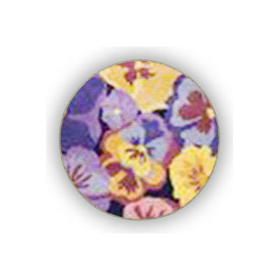 Tapis décoratif mauve à motif floral violet