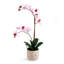 21 in. Realistic Artificial Orchid with Decorative Pot